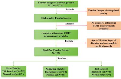 A Siamese ResNeXt network for predicting carotid intimal thickness of patients with T2DM from fundus images